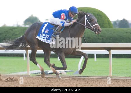 Lexington, KY, USA. Okt. 2021. 8. Oktober 2021: Juju's Map #1, geritten von Jockey Florent Geroux, gewinnt am Eröffnungstag auf der Keeneland Racecourse in Lexington, K.Y., am 8. Oktober 2021 die Darley Alcibiades (Klasse 1). Jessica MorganEclipse Sportswire CSM/Alamy Live News Stockfoto