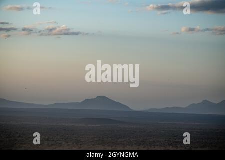 Begegnen Sie Wildtieren wie der Giraffe über die Oloitoktok Road und Mt. Kilimanjaro View - Amboseli National Park Stockfoto