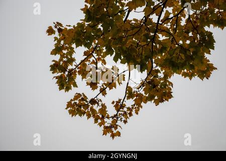 Vermont in der Trauerzeit zur goldenen Stunde Stockfoto