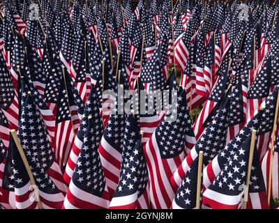 Veteranen-Tag-Flaggen im patriotischen Hintergrundbild, rot-weiße und blaue amerikanische Flaggen für den Gedenktag, den 4. Juli, und Veteranen-Tag-Feiertage Stockfoto