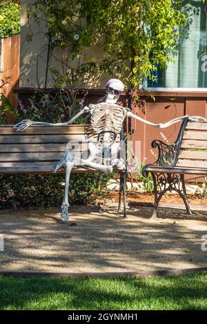 Ein halloween-Skelett sitzt auf einem Rasenstuhl in einem Wohnvorgarten. Stockfoto
