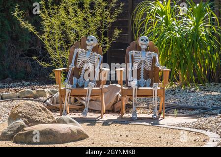 Zwei halloween-Skelette sitzen im ersten Jahr eines Hauses in einer Wohngegend auf zwei Rasenstühlen. Stockfoto