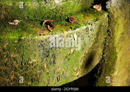 Gesteinsstruktur mit Moos bedeckt Stockfoto