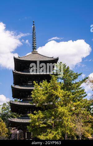 Blick auf die fünfstöckige Pagode des Kofukuji-Tempels in Nara. Japan Stadtbild der zweithöchsten hölzernen Pagode. Berühmte historische Denkmäler der alten Nara Stockfoto