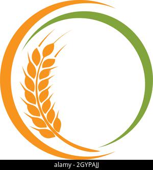 Vektor für Agrarweizen-Logo-Vorlage Stock Vektor