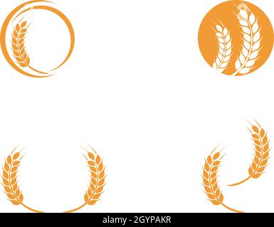 Vektor für Agrarweizen-Logo-Vorlage Stock Vektor