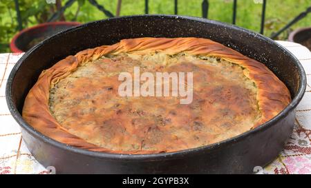 Spinatkuchen, traditionelle griechische Spanakopita, handgemachte Torte im Ofen gebacken Stockfoto