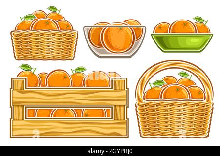 Vector Orangen Set, Lot Sammlung von ausgeschnittenen Illustrationen natürliche ganze Orangen in transparenter Schüssel, reife Früchte im Cartoon-Design grüne Tongeschirr Stock Vektor