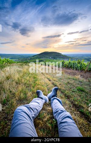 Pieds d'un randonneur dans les vignes autour du Mont Brouilly, Beaujolais, Frankreich Stockfoto