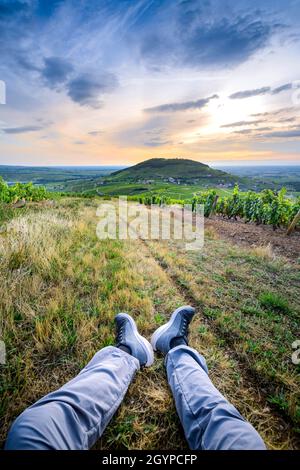 Pieds d'un randonneur dans les vignes autour du Mont Brouilly, Beaujolais, Frankreich Stockfoto