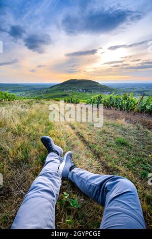 Pieds d'un randonneur dans les vignes autour du Mont Brouilly, Beaujolais, Frankreich Stockfoto