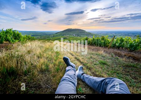 Pieds d'un randonneur dans les vignes autour du Mont Brouilly, Beaujolais, Frankreich Stockfoto