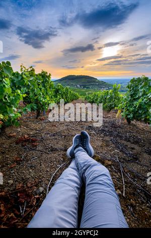 Pieds d'un randonneur dans les vignes autour du Mont Brouilly, Beaujolais, Frankreich Stockfoto