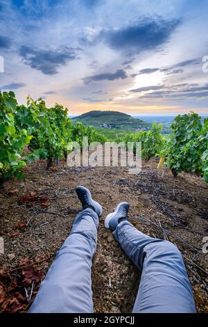 Pieds d'un randonneur dans les vignes autour du Mont Brouilly, Beaujolais, Frankreich Stockfoto