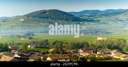 Vue panoramique du Mont Brouilly et du Village de Morgon, Beaujolais, Frankreich Stockfoto