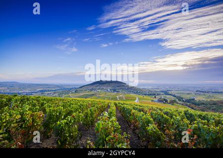 Blick auf den Mont Brouilly Hügel und die Weinberge des Beaujolais, Frankreich Stockfoto