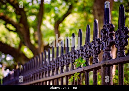 Ein schmiedeeiserner Zaun umgibt den Washington Square am 15. November 2015 in New Orleans, Louisiana. Der 2.54 Hektar große Park entstand Anfang des 19. Jahrhunderts. Stockfoto