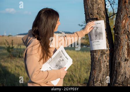 Verärgert Frau klebt Poster des vermissten Hundes auf Baumstamm Stockfoto