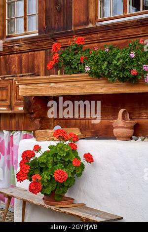 Schweizer Chalet Detail mit roten Geranienblumen - Simmental, Berner Oberland, Schweiz Stockfoto