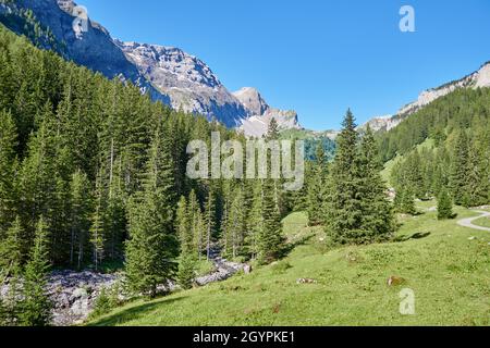 Typische Schweizer Berglandschaft auf der Iffigenalp oberhalb der Lenk in der Schweiz Stockfoto