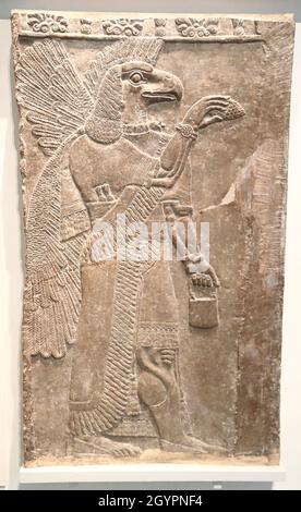 Assyrischer Schutzgeist mit Adlerkopf aus Nimrud, Tempel von Ninurta, im British Museum, London, Großbritannien Stockfoto