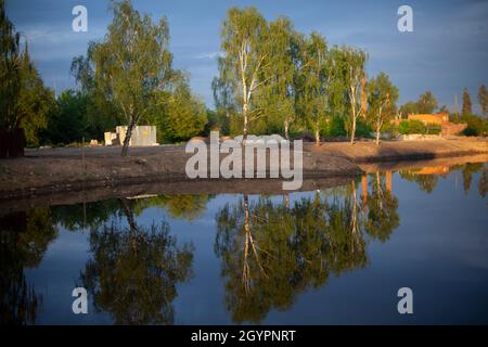 Spiegelung von Bäumen im See. Die Oberfläche des Wassers am Abend. Birken am Ufer des Teiches. Stockfoto