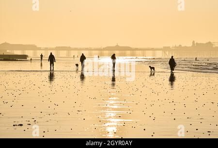 Brighton UK 9. Oktober 2021 - Hundewanderer genießen einen schönen Morgen und eine extra Ebbe am Brighton Beach, da heute für Teile Großbritanniens warmes, sonniges Wetter prognostiziert wird : Credit Simon Dack / Alamy Live News