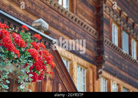 Schweizer Chalet Detail mit Geranienblumen - Simmental, Berner Oberland, Schweiz Stockfoto