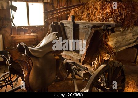 Altes landwirtschaftliches Werkzeug in einem Holzschuppen. Pferdewagen mit Sattel Stockfoto