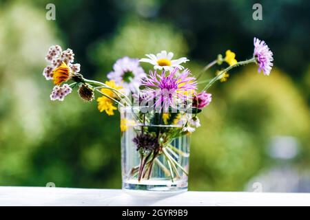 Sommerblumen Bouquet in Vase. Wildblumen im Glas draußen. Bouquet von Sommer Wildblumen bunte Kräuter in Vase auf grünem Hintergrund der Natur. Stockfoto