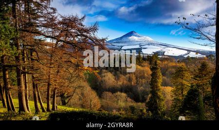 Herbstschnee auf dem Sugar Loaf Mountain von Powerscourt Gardens im Wicklow Mountains National Park, County Wicklow, Irland Stockfoto