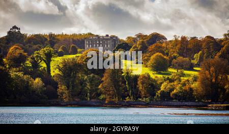 Herbst in Castle ward, Strandford, County Down, Nordirland Stockfoto