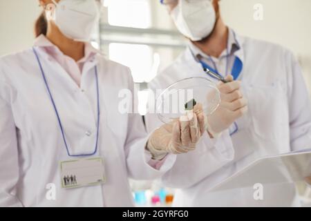 Gruppe von Wissenschaftlern in weißen Mänteln, die im modernen mikrobiologischen Labor forschen Stockfoto