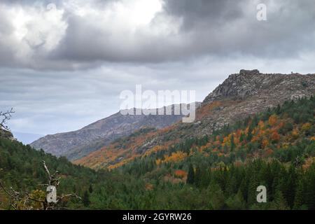 Granitische Berge und herbstlich gefärbte gemäßigte Laub- und Mischwaldlandschaft im Peneda-Geres Nationalpark, Portugal Stockfoto