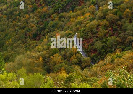 Kurvige Bergstraße durch den herbstlichen atlantischen Wald in Ribeira Sacra, Galicien, Spanien Stockfoto