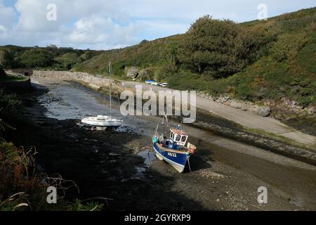 Porth Clais oder Porthclais, Hafen an der Mündung des Flusses Alun, in der Nähe von St David's, Pembrokeshire, Wales. Auf dem Pembrokeshire Coastal Path Stockfoto