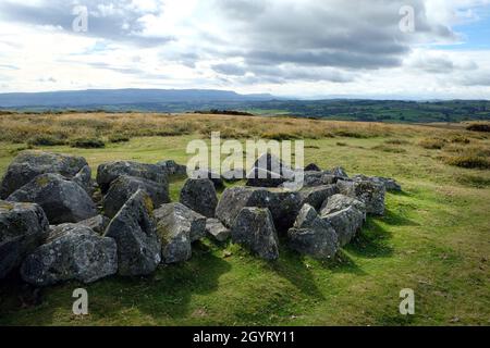 Der Blick vom Gipfel des Hergest Ridge, in der Nähe von Kington, Herefordshire, England. Blick nach Süden auf die Black Mountains von Wales Stockfoto