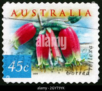 AUSTRALIEN - UM 1999: Eine in Australien gedruckte Marke zeigt Common Correa, Correa Reflexa, Strauch, um 1999 Stockfoto