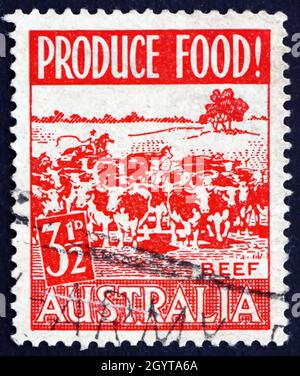 AUSTRALIEN - UM 1953: Eine in Australien gedruckte Marke zeigt Viehweiden, Lebensmittelproduktion, um 1953 Stockfoto