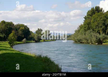 Limmat im Kanton Zürich, Schweiz im Sommer. Es gibt Bäume an beiden Ufern und einen Wanderweg auf der linken Seite. Stockfoto