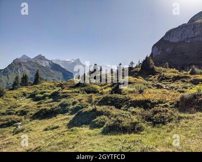 Alpen Wiese in der Schweiz. Alm in der Nähe des Silberner Berges im Kanton Uri. Wandern im Herbst.Wanderlust Stockfoto