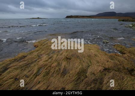 Die Südküste der Isle of Jura mit Castle Claig Stockfoto