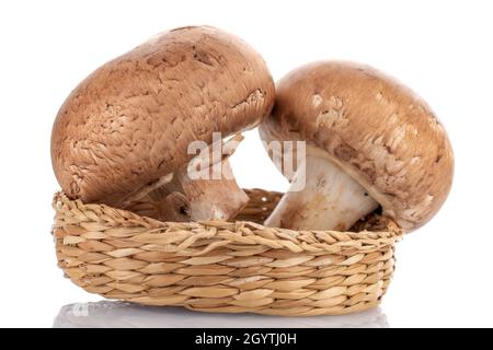 Zwei frische Bio-Cremechampignons auf einer Strohschale, aus der Nähe, isoliert auf Weiß. Stockfoto