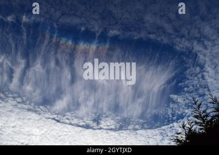 Feuerregenbogen in Cirrus-Wolken. Stockfoto