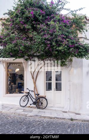 Bougainvillea blühende grüne Pflanze mit violetten Blumen vor dem weiß getünchten Laden in Hermoupolis, der Hauptstadt der Syros-Insel, dem Sommerziel der Kykladen Stockfoto