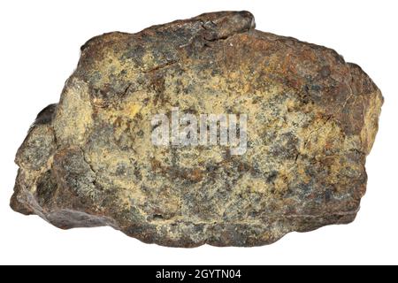 Fragment des NWA 869 Meteoriten isoliert auf weißem Hintergrund Stockfoto