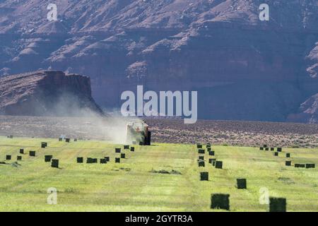 Heuballenpressen mit einem John Deere Traktor 7930 und einer GPT Twin Pak Ballenpresse auf einer Ranch im Süden von Utah. Stockfoto