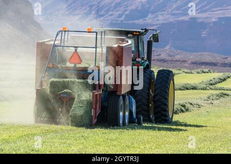 Heuballenpressen mit einem John Deere Traktor 7930 und einer GPT Twin Pak Ballenpresse auf einer Ranch im Süden von Utah. Stockfoto