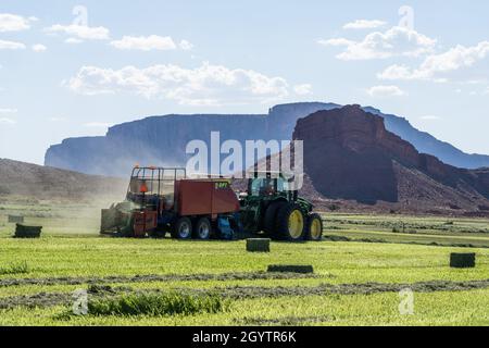 Heuballenpressen mit einem John Deere Traktor 7930 und einer GPT Twin Pak Ballenpresse auf einer Ranch im Süden von Utah. Stockfoto