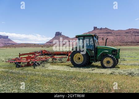 Ein Drehrechen kombiniert kleinere Heureihen zu einer größeren Reihe, um die Anzahl der für die Ballenpresse erforderlichen Durchgänge zu reduzieren. Stockfoto